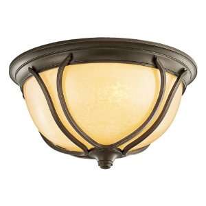  Energy Star Rated Outdoor Flushmount Ceiling Fixture