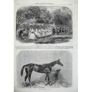  Games Wymering Hampshire 1865 Ragalia Horse Race Oaks 