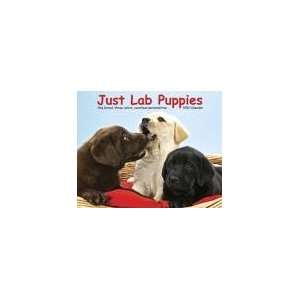  Just Lab Puppies 2010 Wall Calendar: Office Products