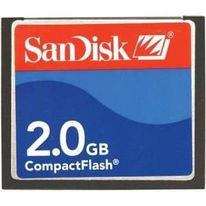  2GB Sandisk Compact Flash Memory Card (Bulk): Electronics
