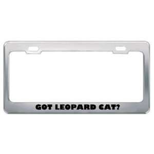 Got Leopard Cat? Animals Pets Metal License Plate Frame Holder Border 