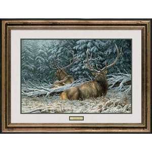    Sheltered Elk Framed Print By Rosemary Millette