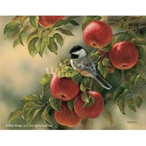  Rosemary Millette   Orchard Visitor   Chickadee Signed 