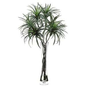  45 Dracaena Plant Arrangement with Vase in Green Patio 