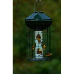   Vari Crafts Wire Cage Mixed Seed Feeder 3 Gal. No Pole