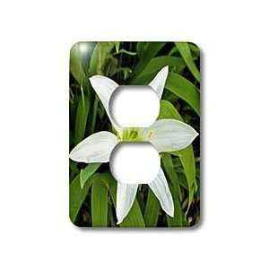 Boehm Photography Flower   White Lily   Light Switch Covers   2 plug 