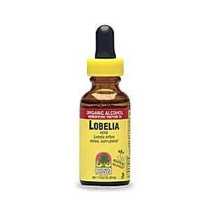  Natures Answer Lobelia Inflata Herb Extract, 1 FL Oz (Pack 