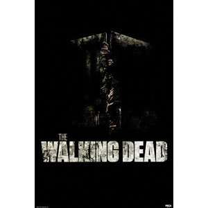  Walking Dead   Posters   Movie   Tv