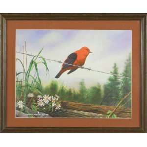  Scarlet Tanager   Print   Andrew Woodhouse   13x16