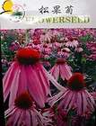 z035 company wholesale 1 bag of echinacea purpurea seed buy
