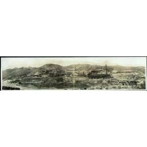    Panoramic Reprint of Old Dominion Copper Co.