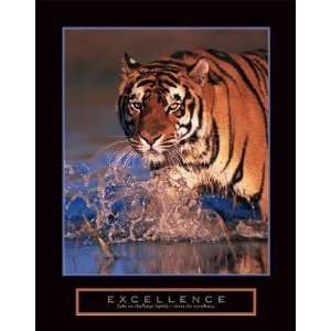 Stuart Westmorland   Excellence   Bengal Tiger Canvas  