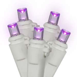  Set of 20 Battery Operated Purple LED Wide Angle Christmas Lights 