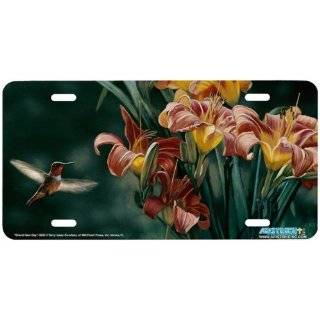   Airbrushed License Plate  Hummingbird License Plate   914 Automotive