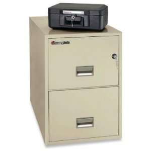   : SentrySafe Vertical Fire File Cabinet (SEN2T2530P): Office Products