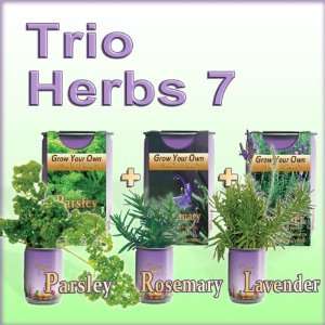  Grow Your Own Herbs (All In One Trio Pack Parsley 