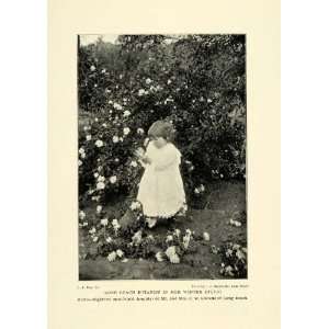 1899 Print Long Beach Botanist F. W. Stevens Girl Ruth   Original 
