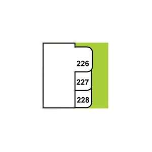  Side Number Tabs   Set of 226 250: Office Products