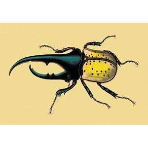  Vintage Art Horned Beetle #2   17939 2