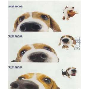  THE DOG Artlist   Peek a boo Beagle Stickers Kitchen 