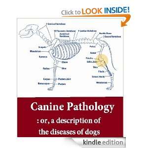 or, a description of the diseases of dogs, with their causes, symptoms 