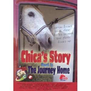   Part 1 The Journey Home   DVD (Film About Ponys Rescue) Movies & TV