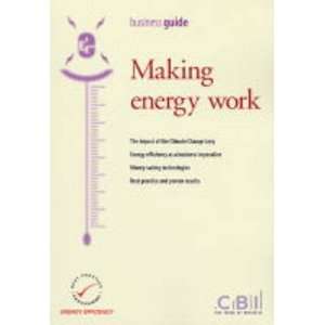 Making Energy Work (Business guide) (9781901844320) Jo 