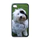 Tibetan Terrier Dog Puppy Puppies #1 Apple iPhone 4 Case Cover