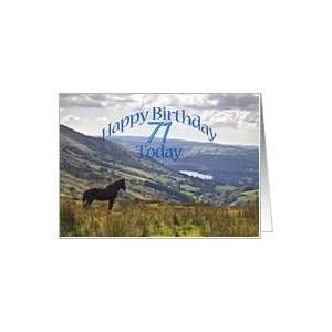 71 Birthday card with a horse and landscape Card Toys 