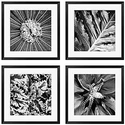 Michael Joseph Pollinator Series 4 piece Framed Art Set   