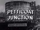 petticoat junction uncle joe s replacement tv dvd 1963 classic