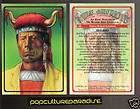 RED BIRD Winnebago Indian 1995 Native Americans CARD
