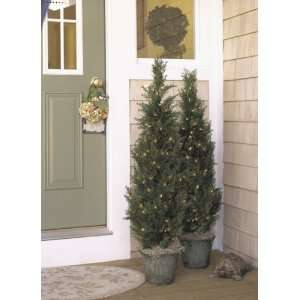   Cedar Christmas Tree or Stake Tree #179951:  Home & Kitchen