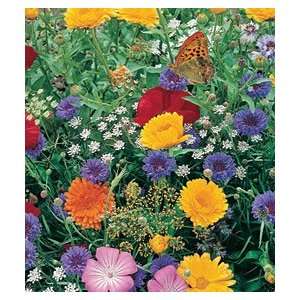    Bulk Seed   Hummingbird and Butterfly Mix Patio, Lawn & Garden