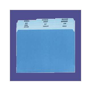  File Folder Sets, Monthly, 1/3 Tab Cut, Letter, Blue 