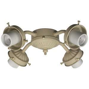  Quorum International 2444 8068 4 Light Fan Light Kit: Home 