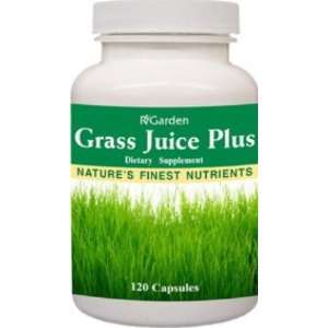  Grass Juice Plus, 120 caps   3 Pack Health & Personal 