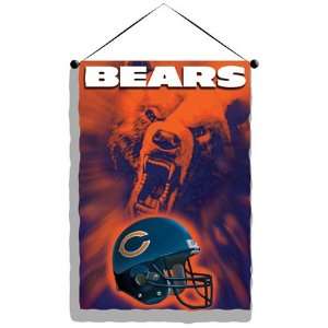  Chicago Bears NFL Photo Real Wall Hanging: Sports 