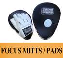 Focus Mitts / Pads