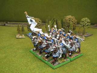 Warhammer DPS painted The Empire Middleland Army EM100  