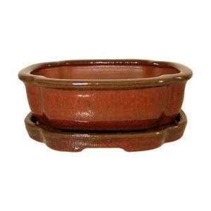   Bonsai Tree Pot   Ceramic Glazed   6 inch: Patio, Lawn & Garden