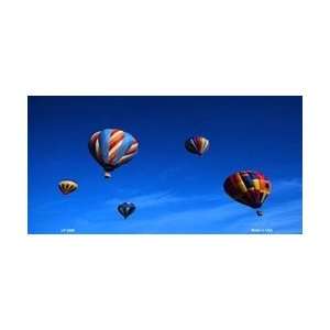   Air Balloons License Plate Tags  Full Color Photography Automotive
