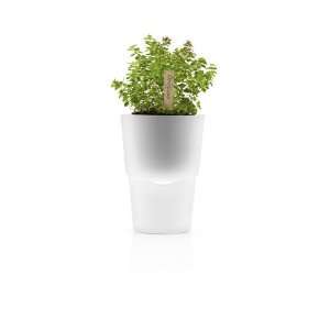  Eva Solo Herb Pot, Selfwatering, Frosted Glas (5.1 Inches 