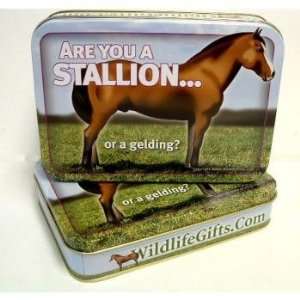  Horse Rectangle Tin Case Pack 48   360073 Patio, Lawn 