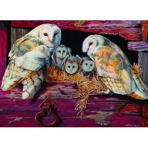 Cobble Hill Barn Owls