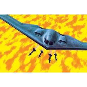   CANADA   1/144 B2 Stealth USAF Bomber (Plastic Models) Toys & Games