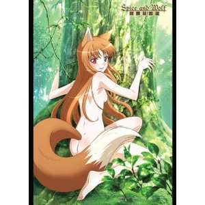  Spice and Wolf Holo Forest Cloth Wall Scroll Poster GE 