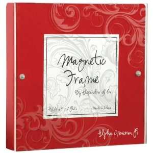  Alpha Omicron Pi Magnetic Picture Frames