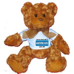   PLAYER LIKE ME Plush Teddy Bear with BLUE T Shirt Toys & Games