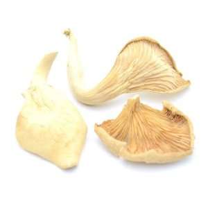 Mushroom House Dried Mushrooms, Oyster, 1 Pound  Grocery 
